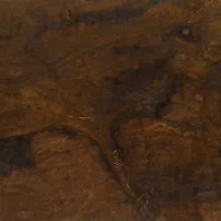 Bronzite