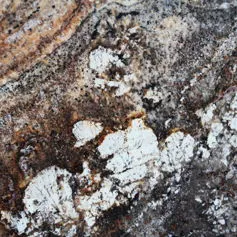 Granito Amarone