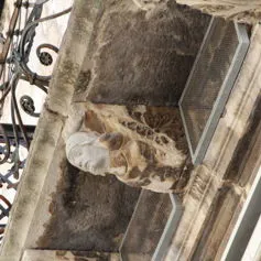 Balconies with marble modillions<br>