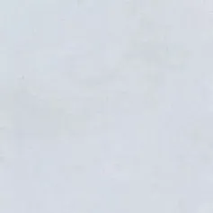 Bianco P a STOCK