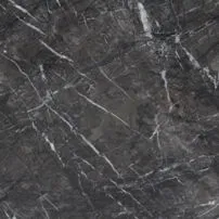 Grigio carnico