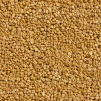 Granulated Yellow Mori